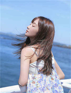 《365 dvd》